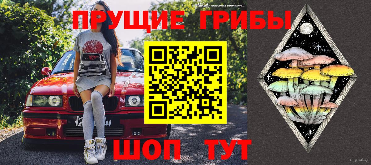 Псилоцибиновые грибы MAGIC MUSHROOMS  Вход с VPN  наркота  Апрелевка 
