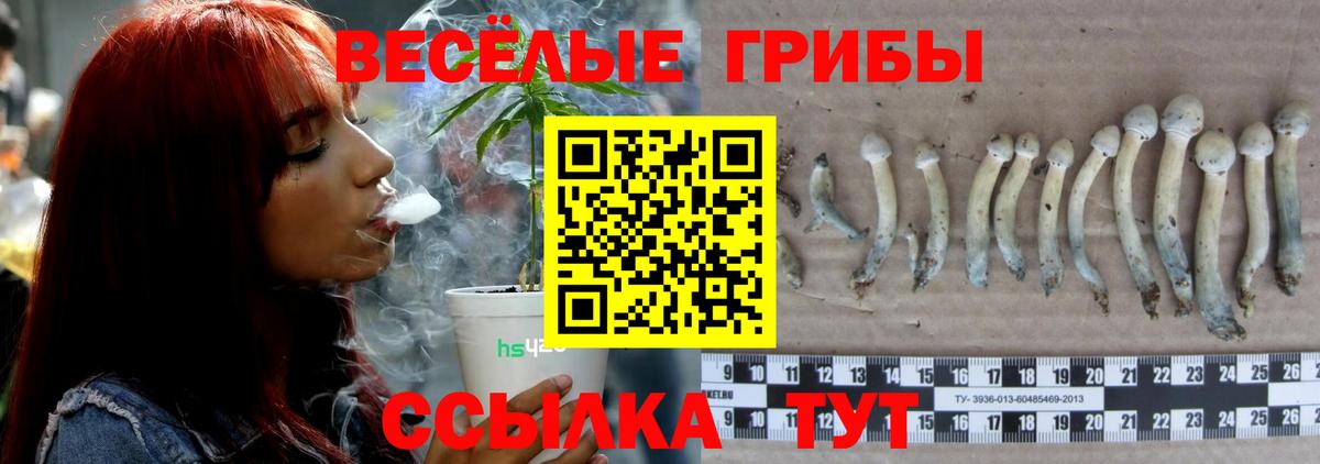 Галлюциногенные грибы ЛСД  Апрелевка 